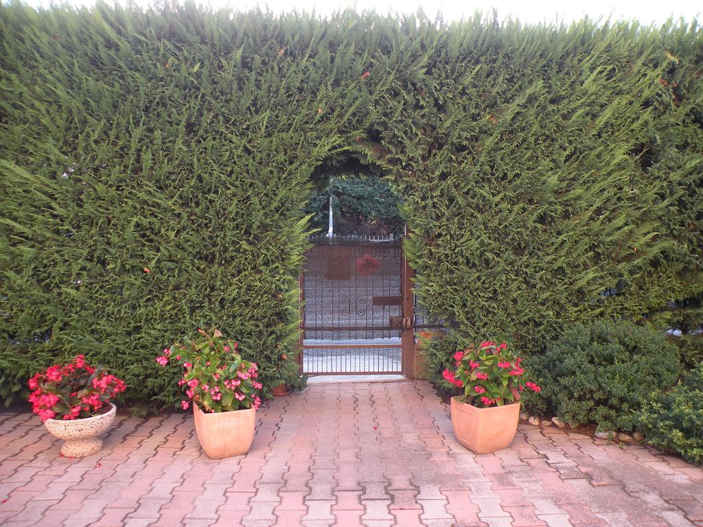 فيلا Casa Oriana روسولينا المظهر الخارجي الصورة